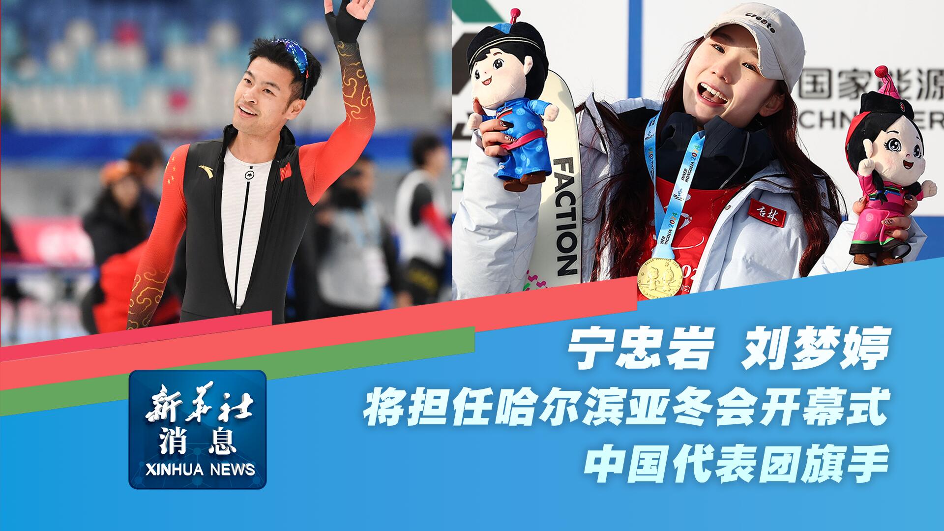 賽的歷史和