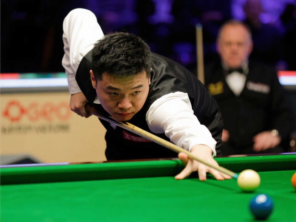 过去数十年 过去数十年